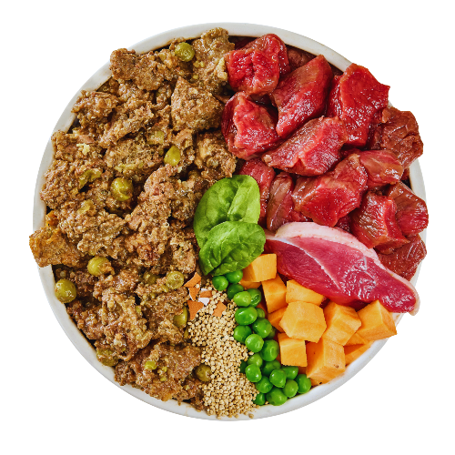 Venison and Duck Fresh Dog Food