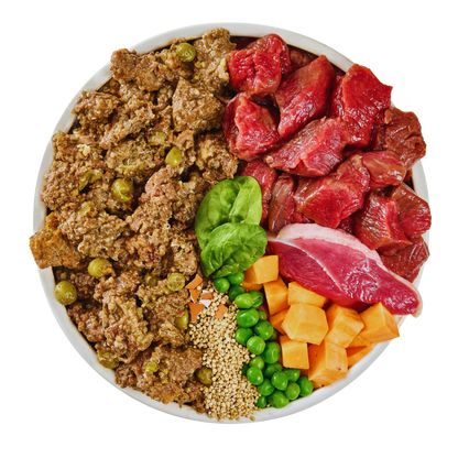 Venison and Duck Fresh Dog Food