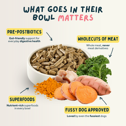 Chicken Premium British Cold Pressed Dog Food