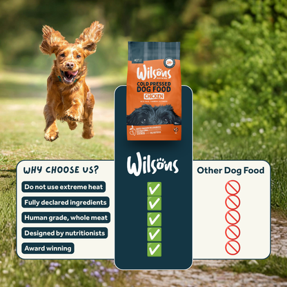 Chicken Premium British Cold Pressed Dog Food