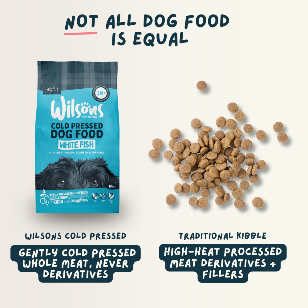 White Fish Premium Cold Pressed Dog Food