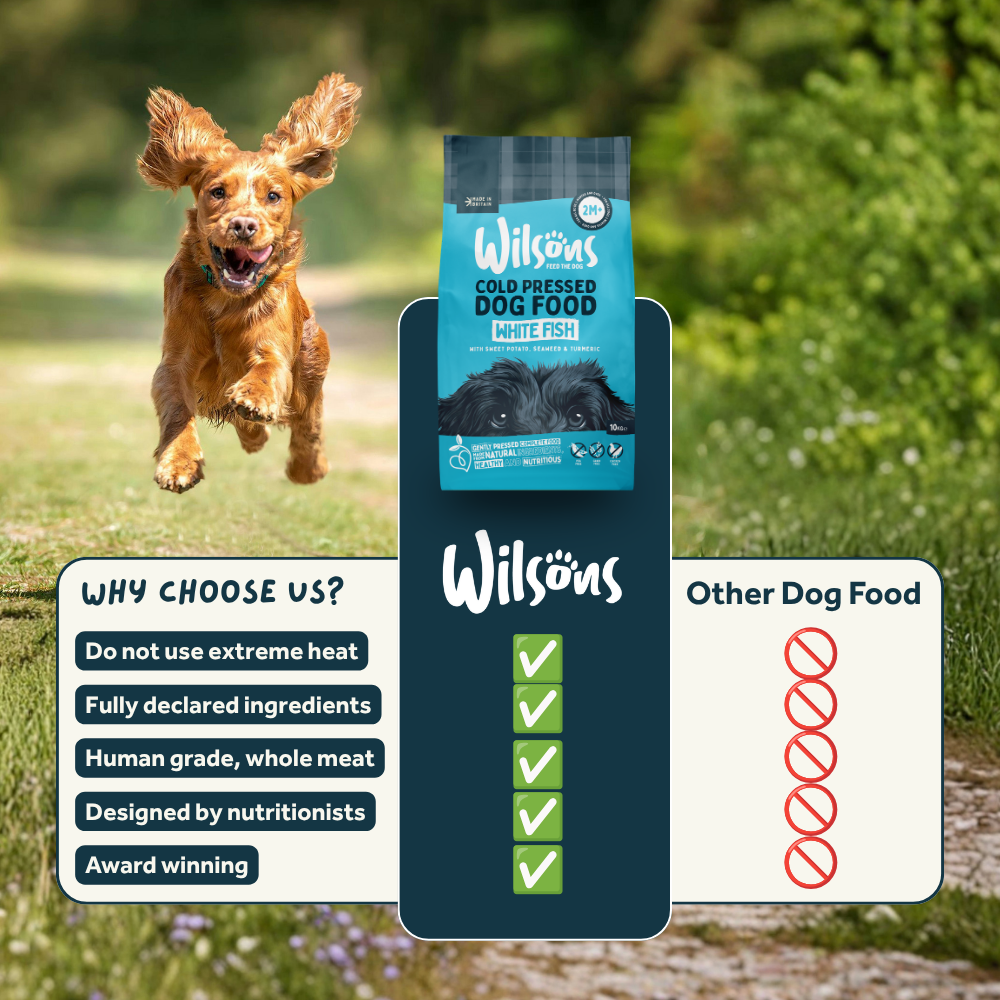 White Fish Premium Cold Pressed Dog Food