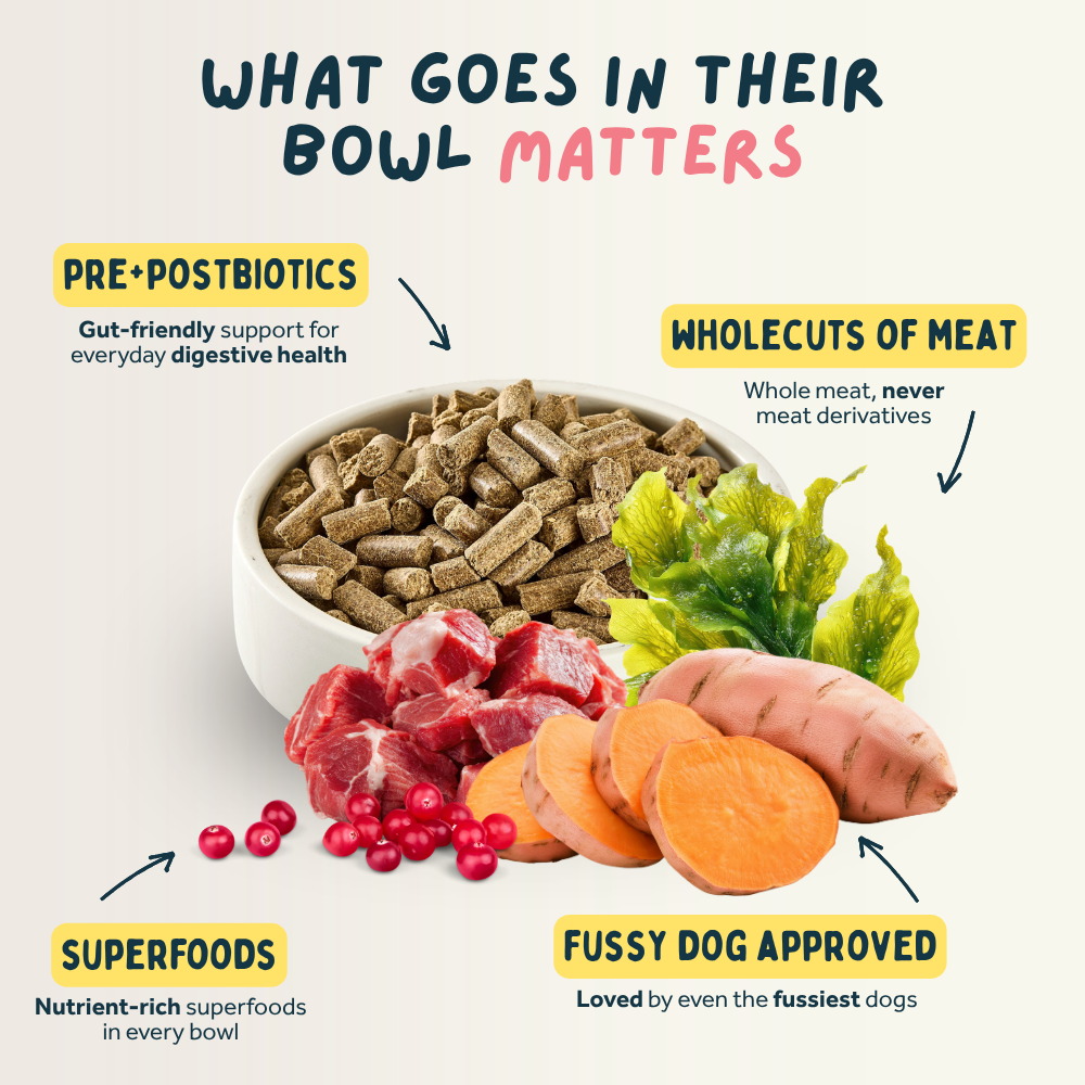 Haggis Premium Cold Pressed Dog Food
