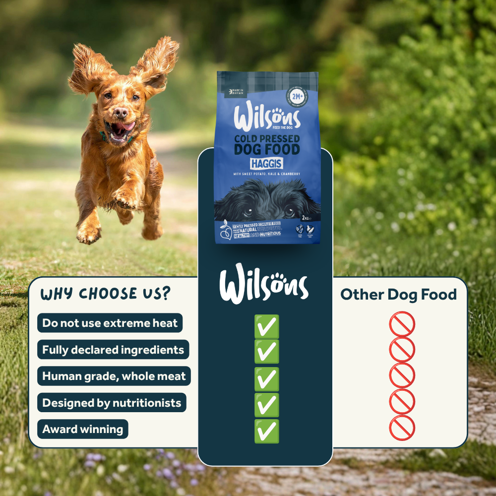 Haggis Premium Cold Pressed Dog Food