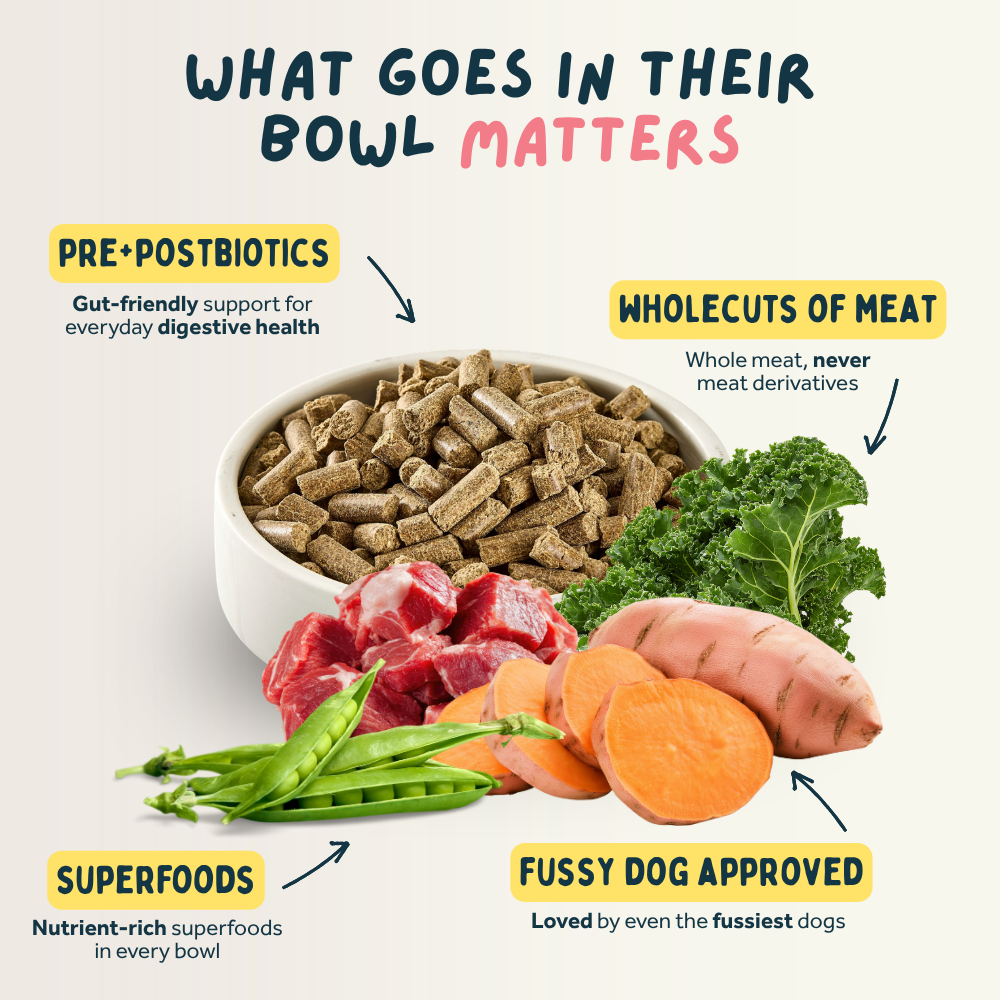 Lamb Premium British Cold Pressed Dog Food