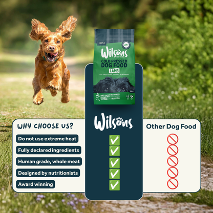 Lamb Premium British Cold Pressed Dog Food