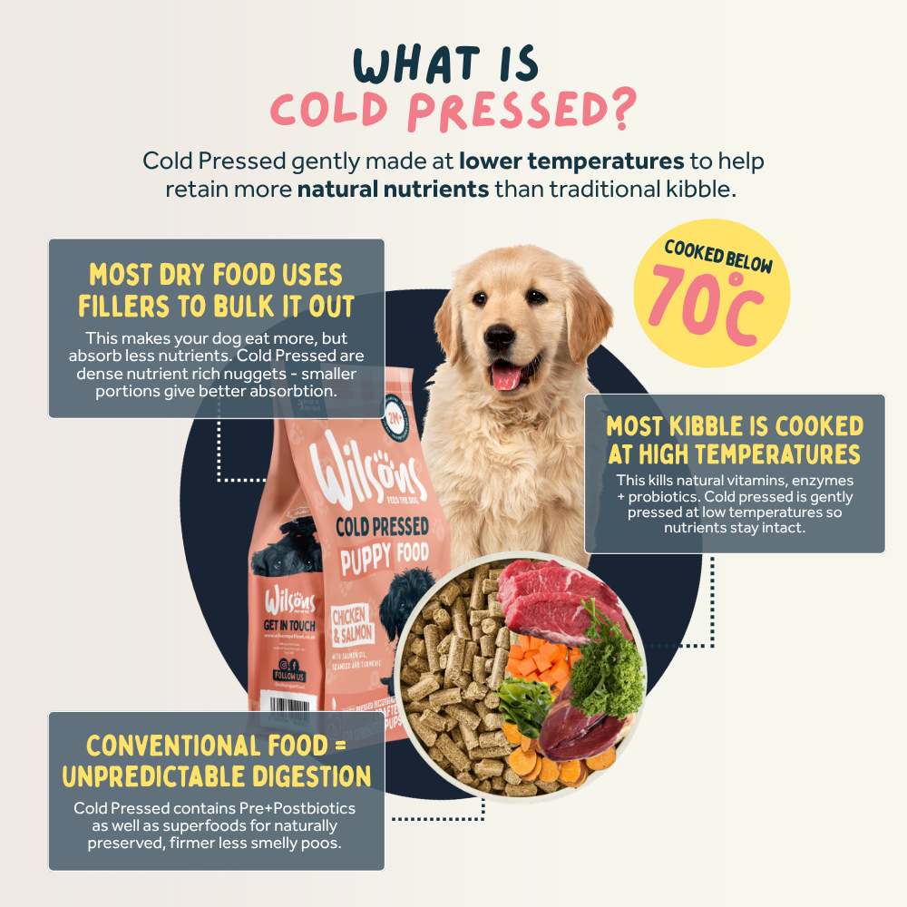 Puppy Premium British Cold Pressed Dog Food