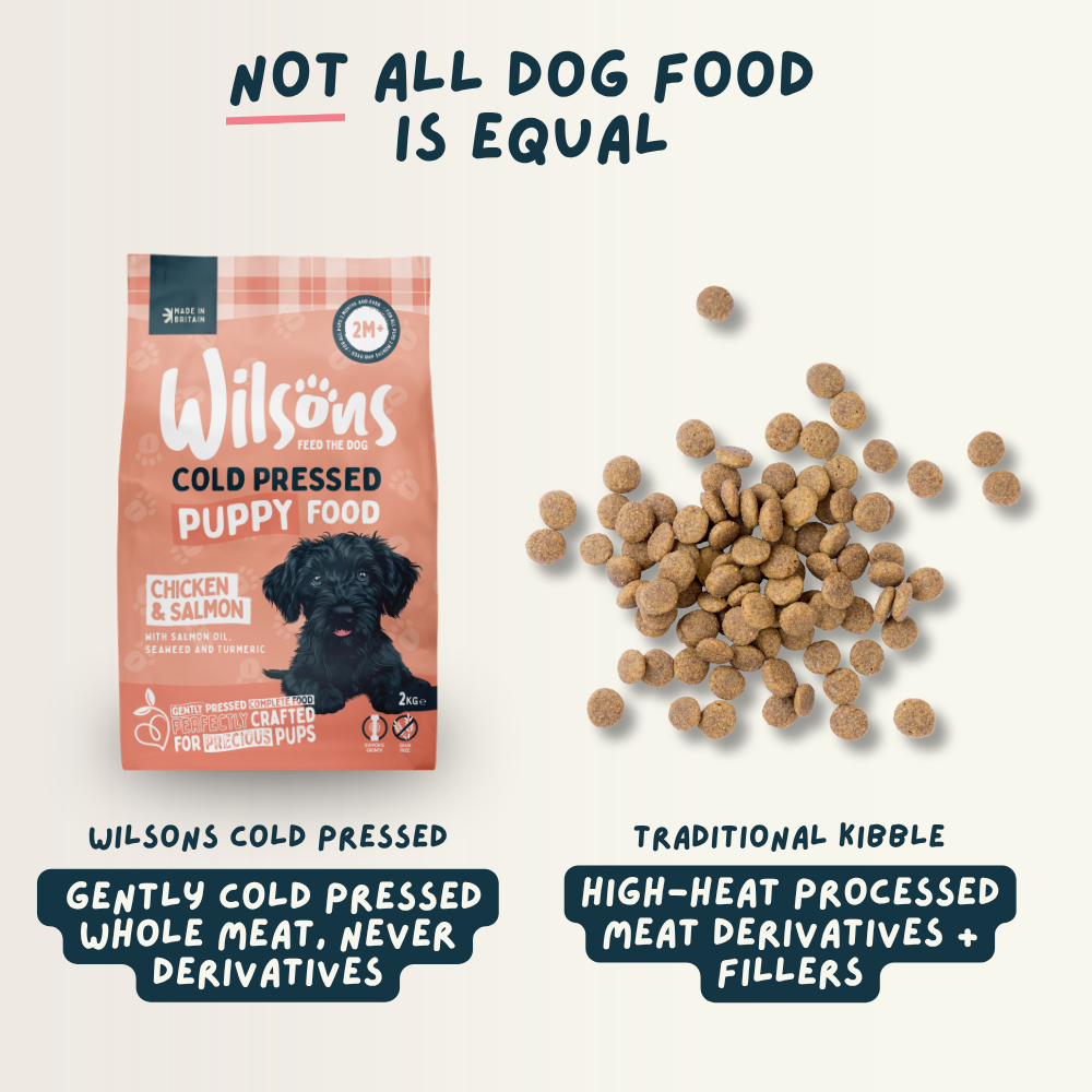 Puppy Premium British Cold Pressed Dog Food