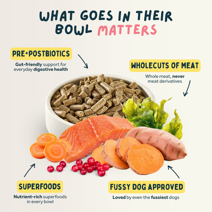 Puppy Premium British Cold Pressed Dog Food