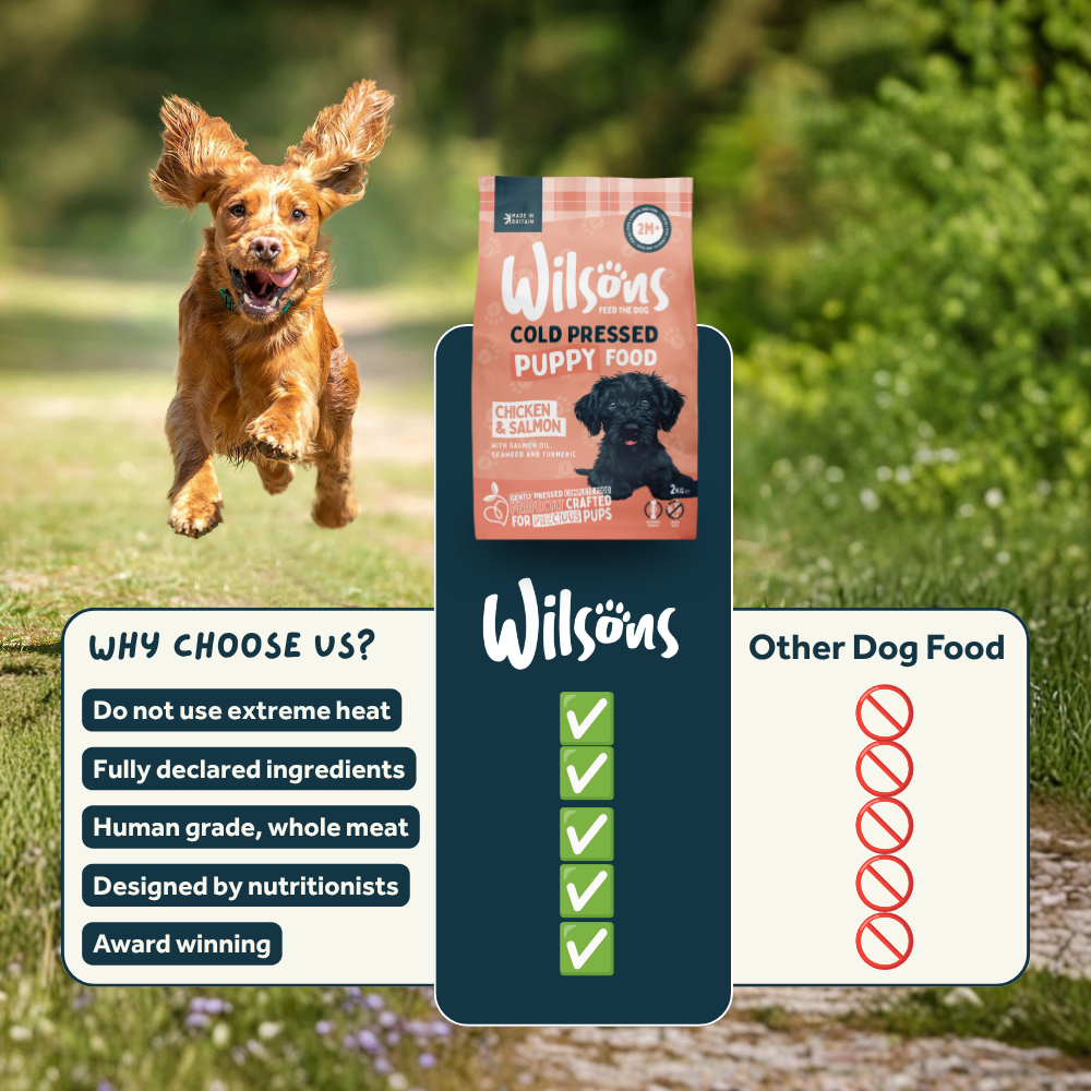 Puppy Premium British Cold Pressed Dog Food