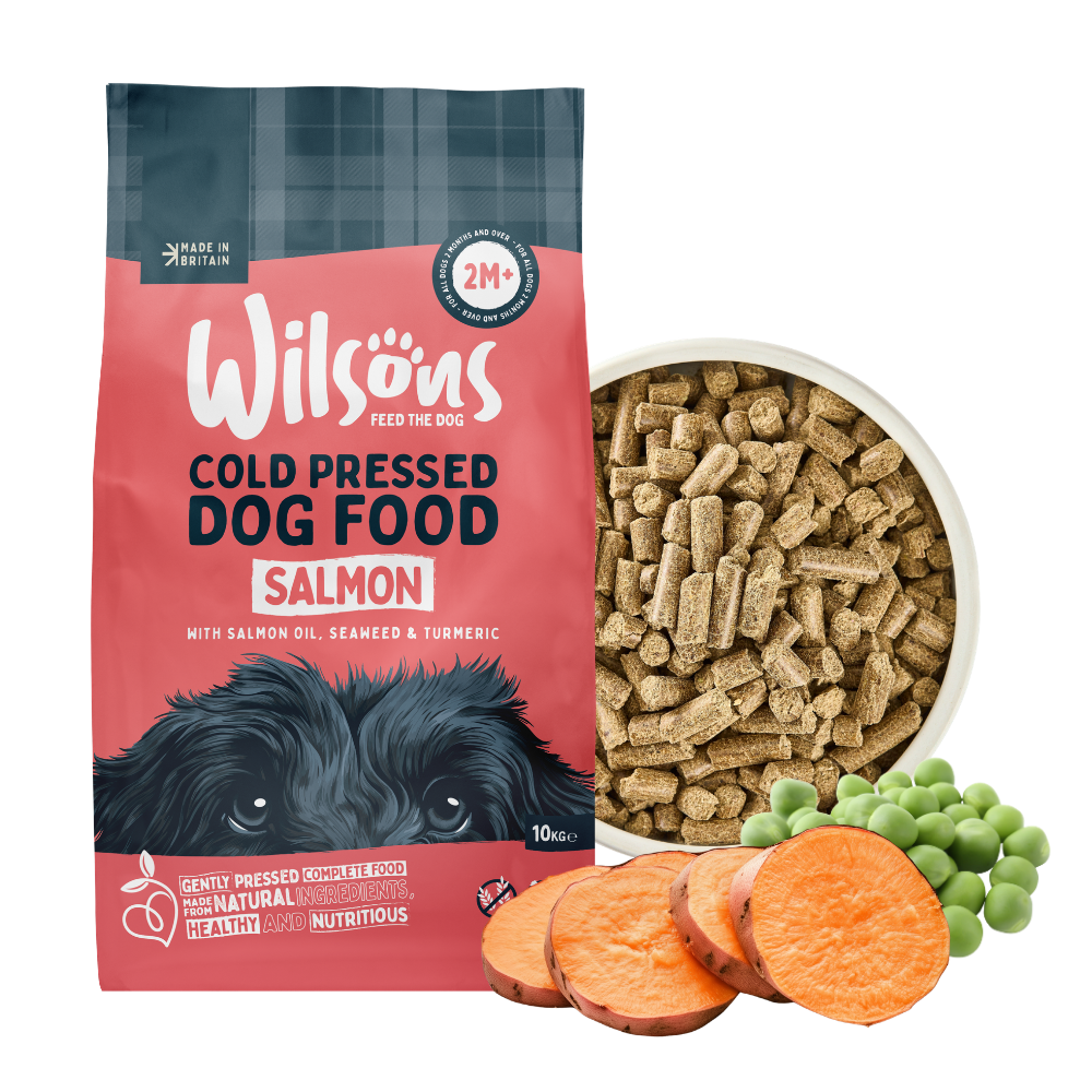 Salmon Premium British Cold Pressed Dog Food