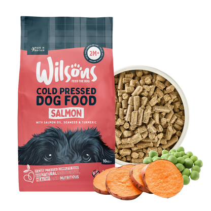 Salmon Premium British Cold Pressed Dog Food