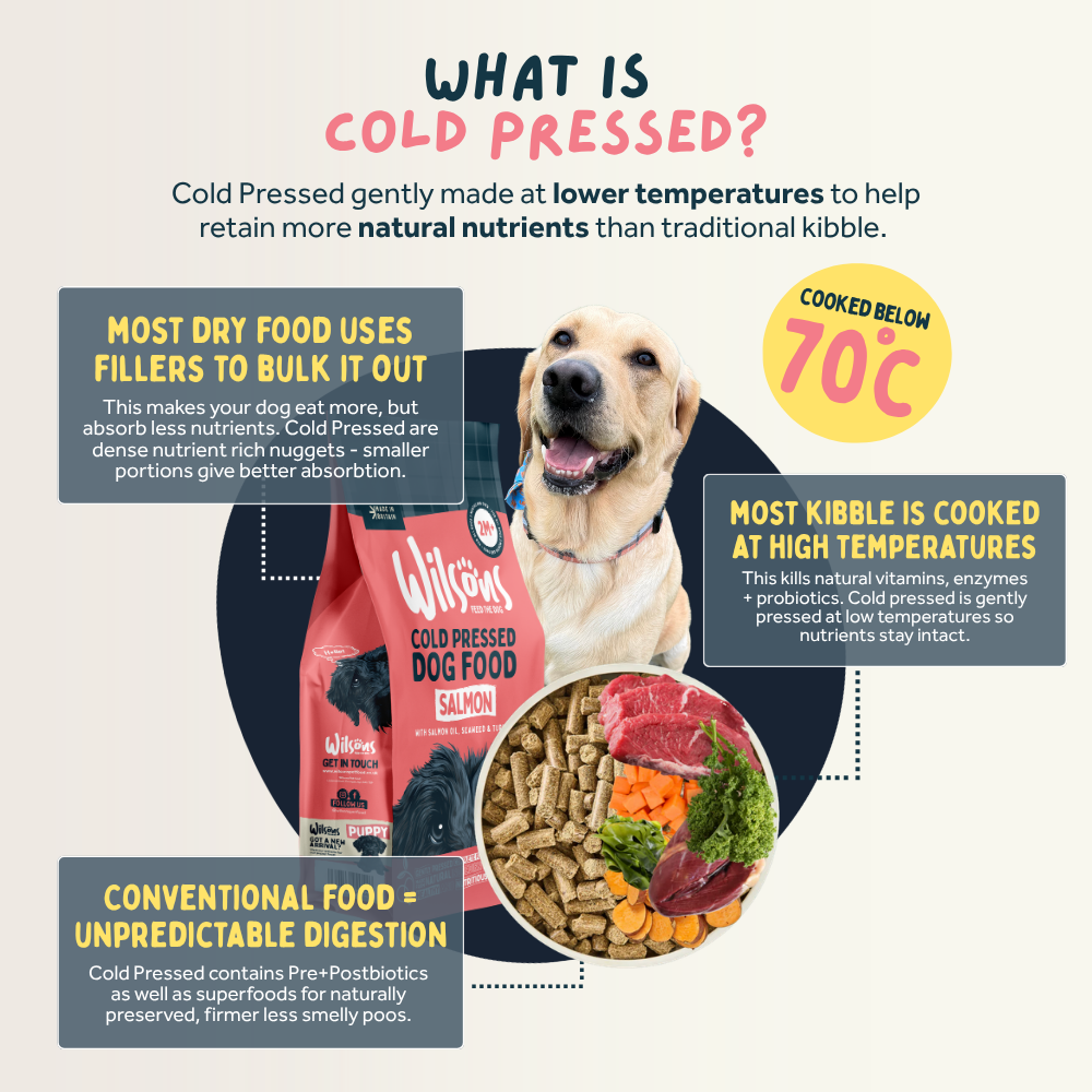 Salmon Premium British Cold Pressed Dog Food