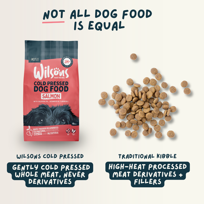 Salmon Premium British Cold Pressed Dog Food