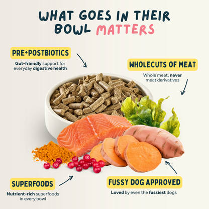 Salmon Premium British Cold Pressed Dog Food
