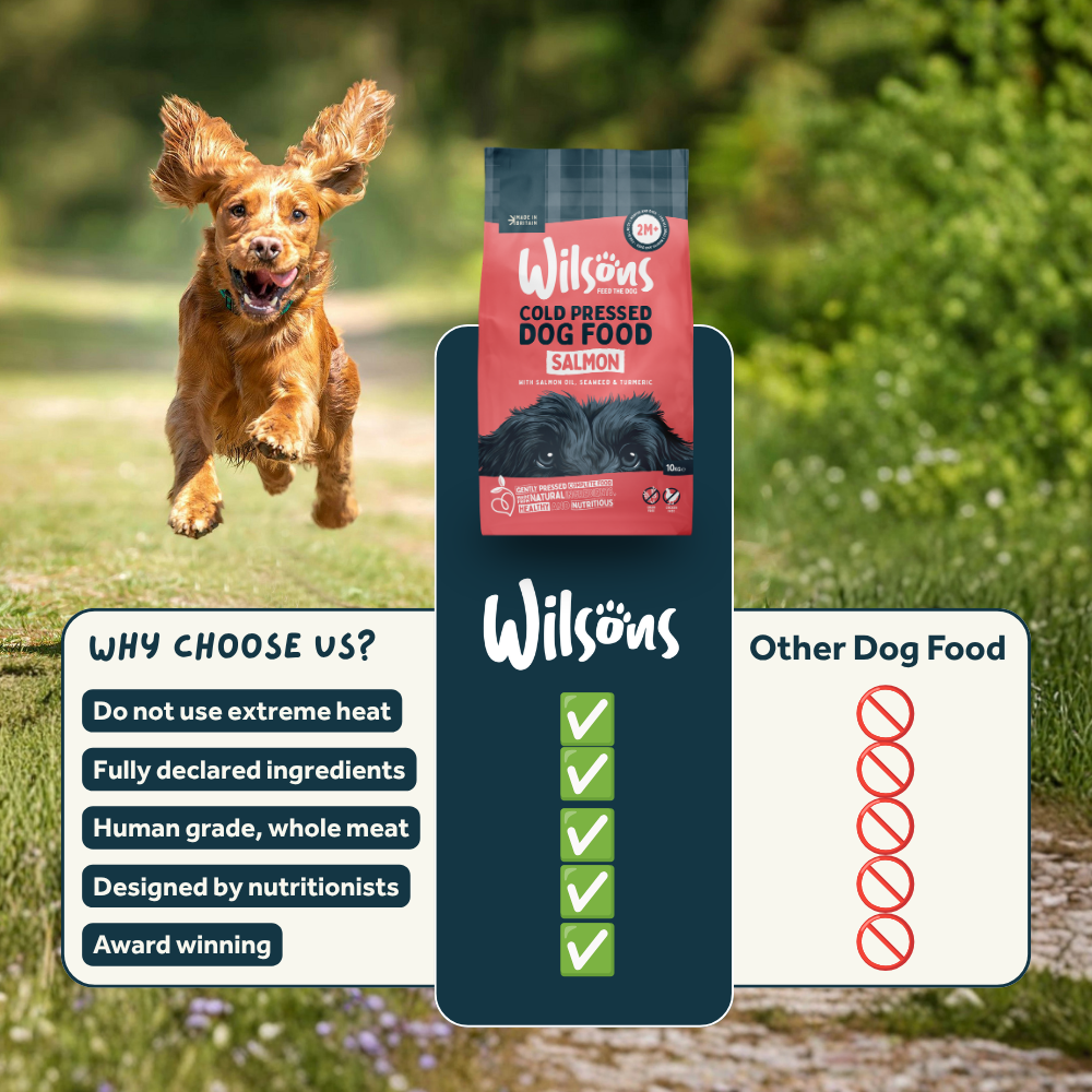 Salmon Premium British Cold Pressed Dog Food