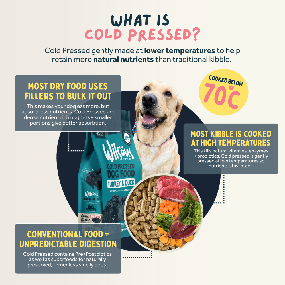 Dog food product with text explaining cold pressed dog food benefits including cooked below 70 degrees, more nutrients, pre and postbiotics
