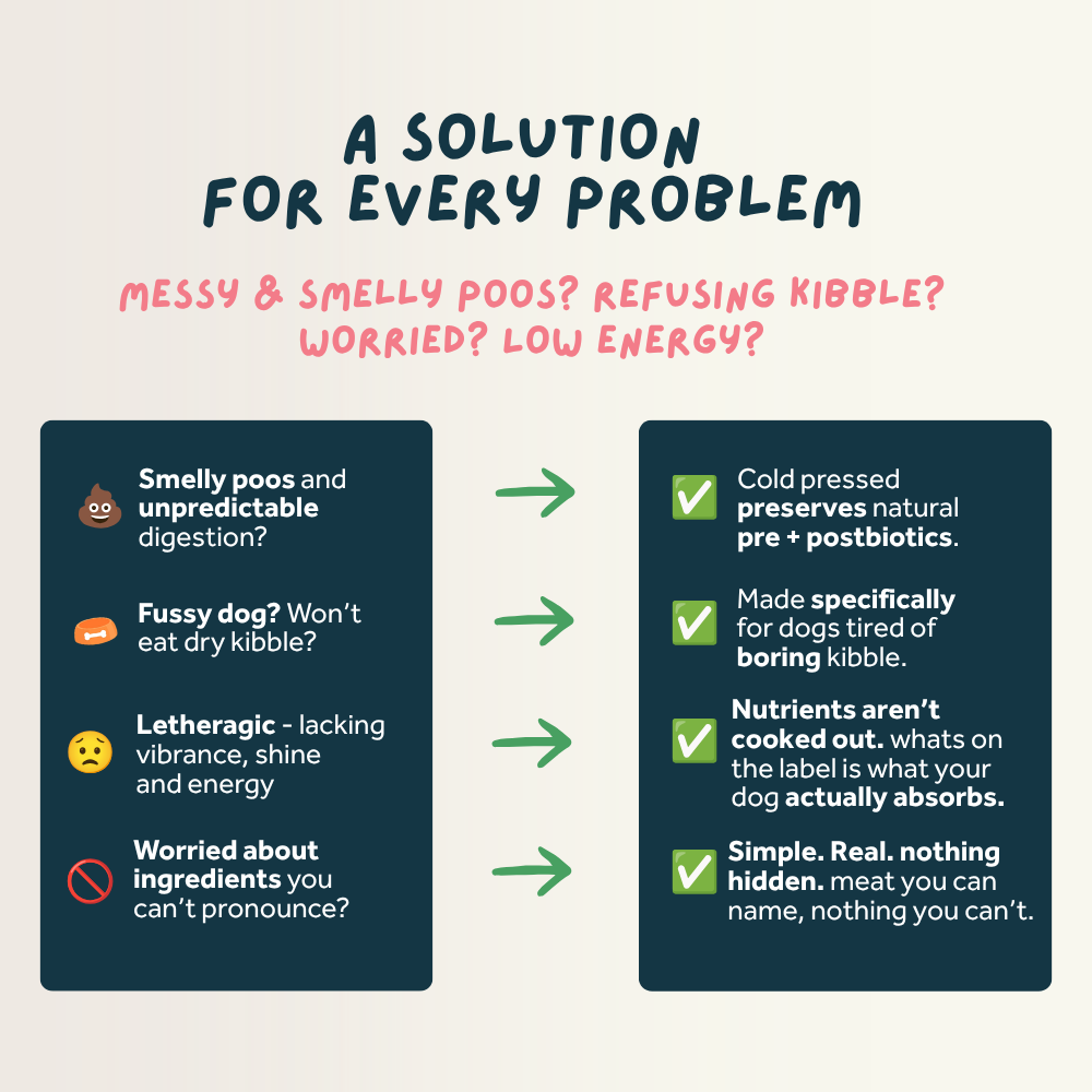 Solution for dog problems with text and checkboxes on a light background
