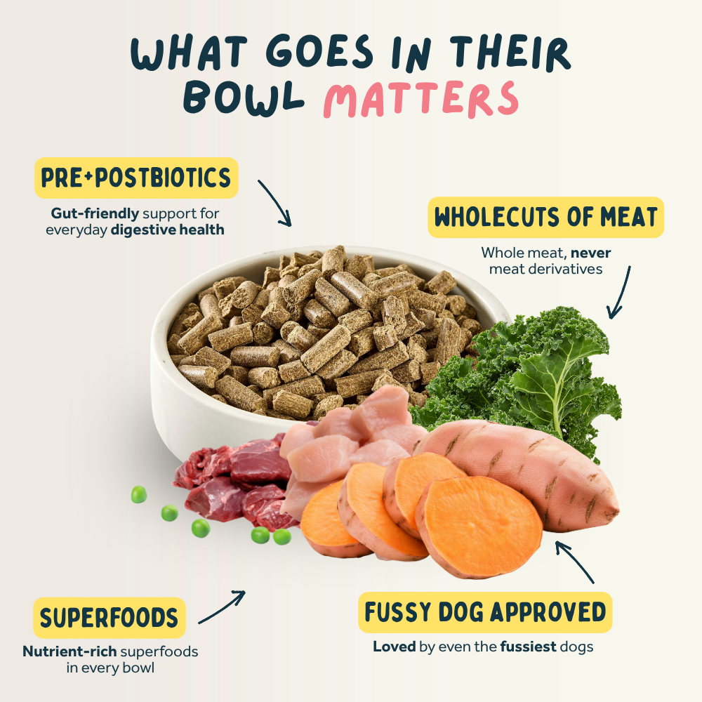 Dog food ingredients with text on a light background