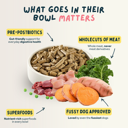 Dog food ingredients with text on a light background