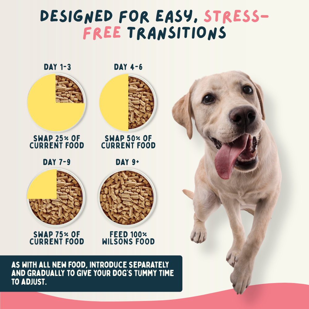Chicken Premium British Cold Pressed Dog Food