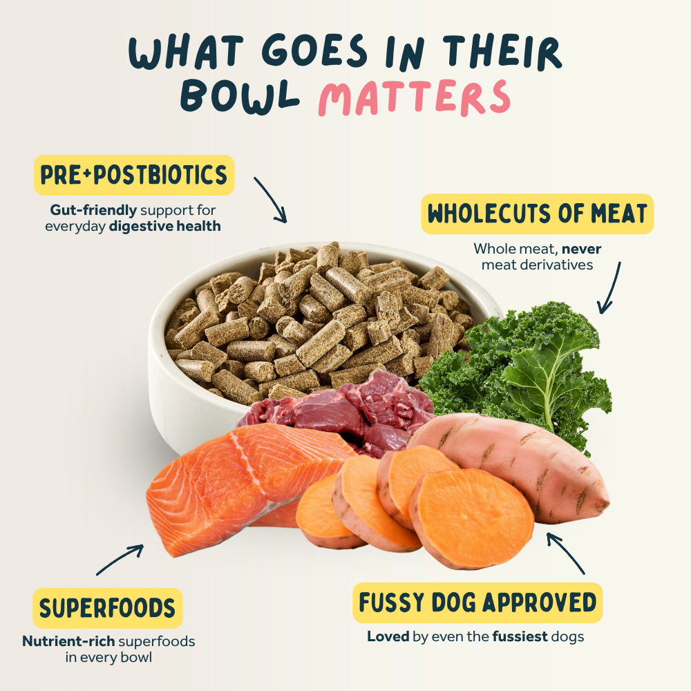 Venison & Trout Premium British Cold Pressed Dog Food
