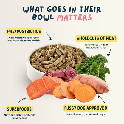 Venison & Trout Premium British Cold Pressed Dog Food