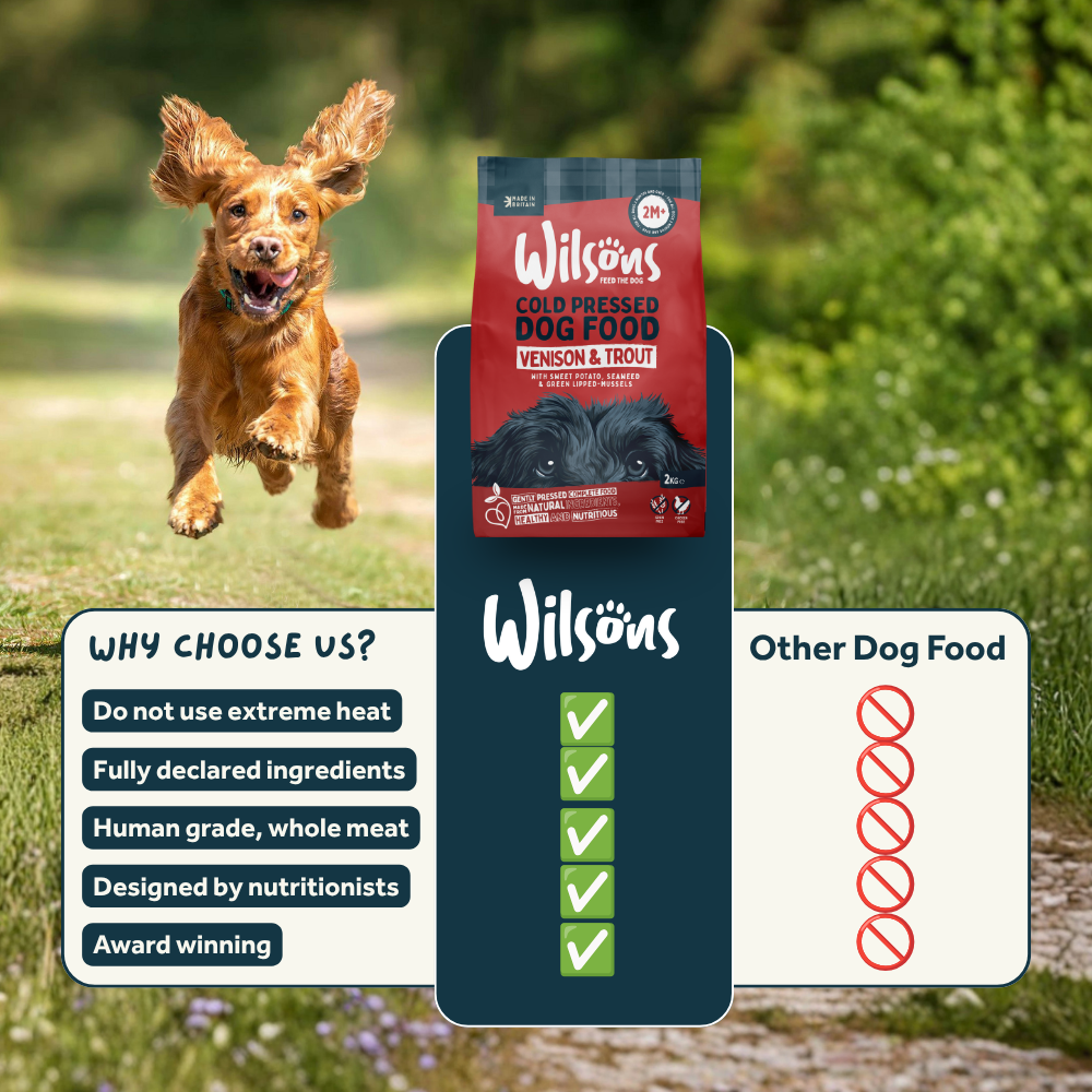 Venison & Trout Premium British Cold Pressed Dog Food