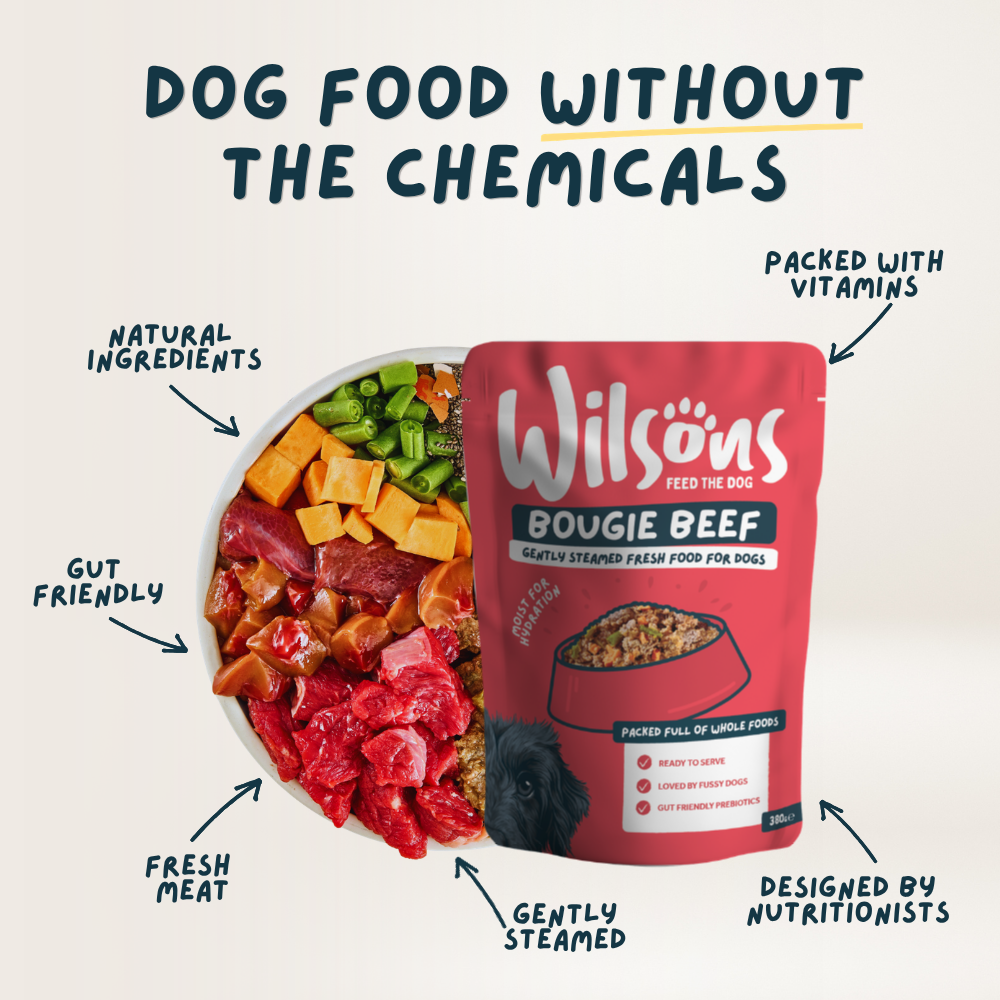 Mixed Bundle Fresh Dog Food