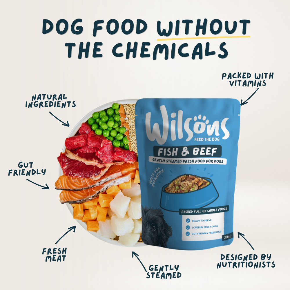 Fish and Beef Fresh Dog Food