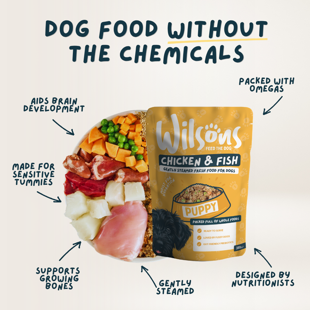 Puppy Mixed Bundle Fresh Dog Food