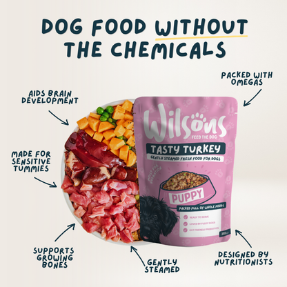 Puppy Tasty Turkey Fresh Dog Food