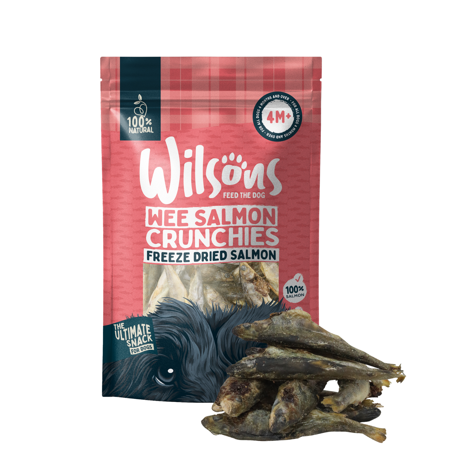 A package of Wilsons freeze-dried salmon dog treats with an image of the treat next to the package.