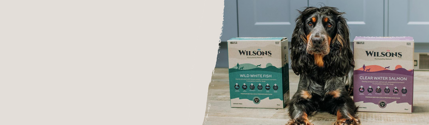 Call of online nature dog food