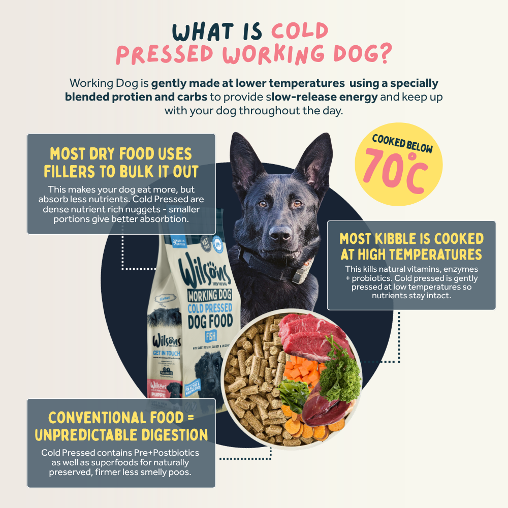 Fish Cold Pressed Working Dog Food