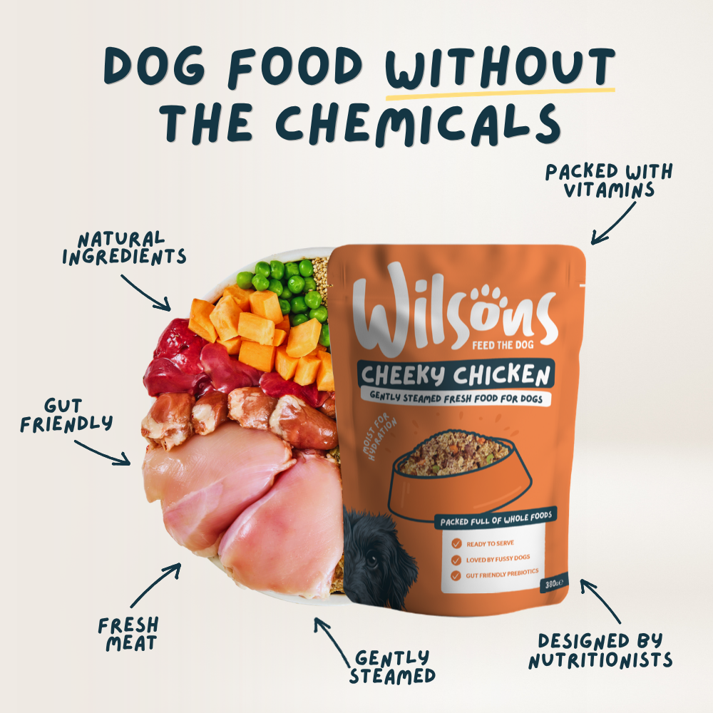 Cheeky Chicken Fresh Dog Food