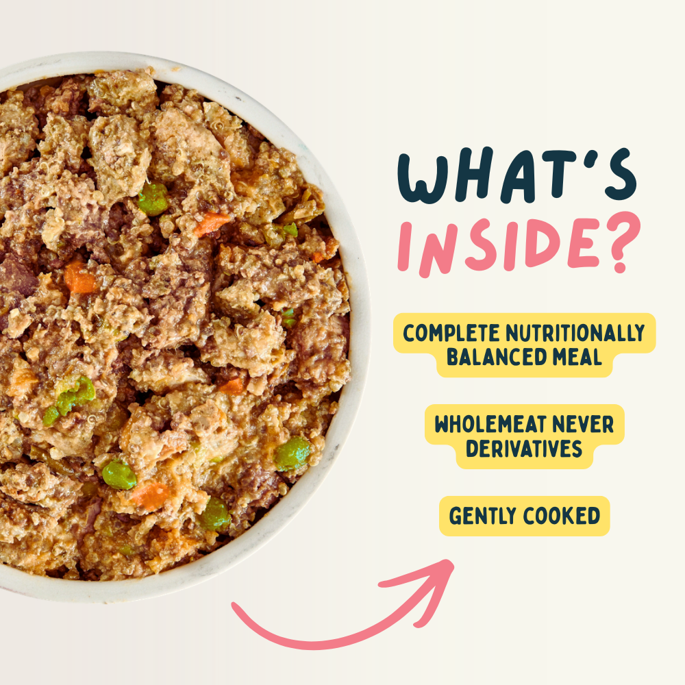Mixed Bundle Fresh Dog Food