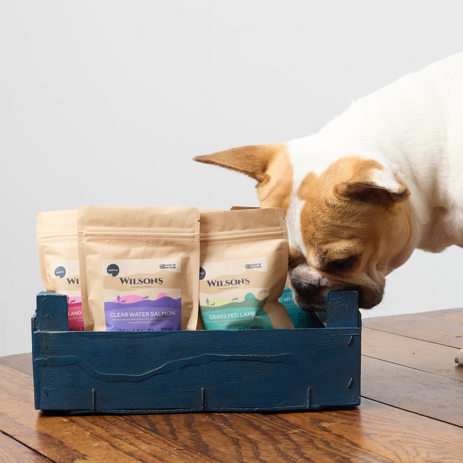 Cold Pressed Sample Box Made in the UK Wilsons Pet Food