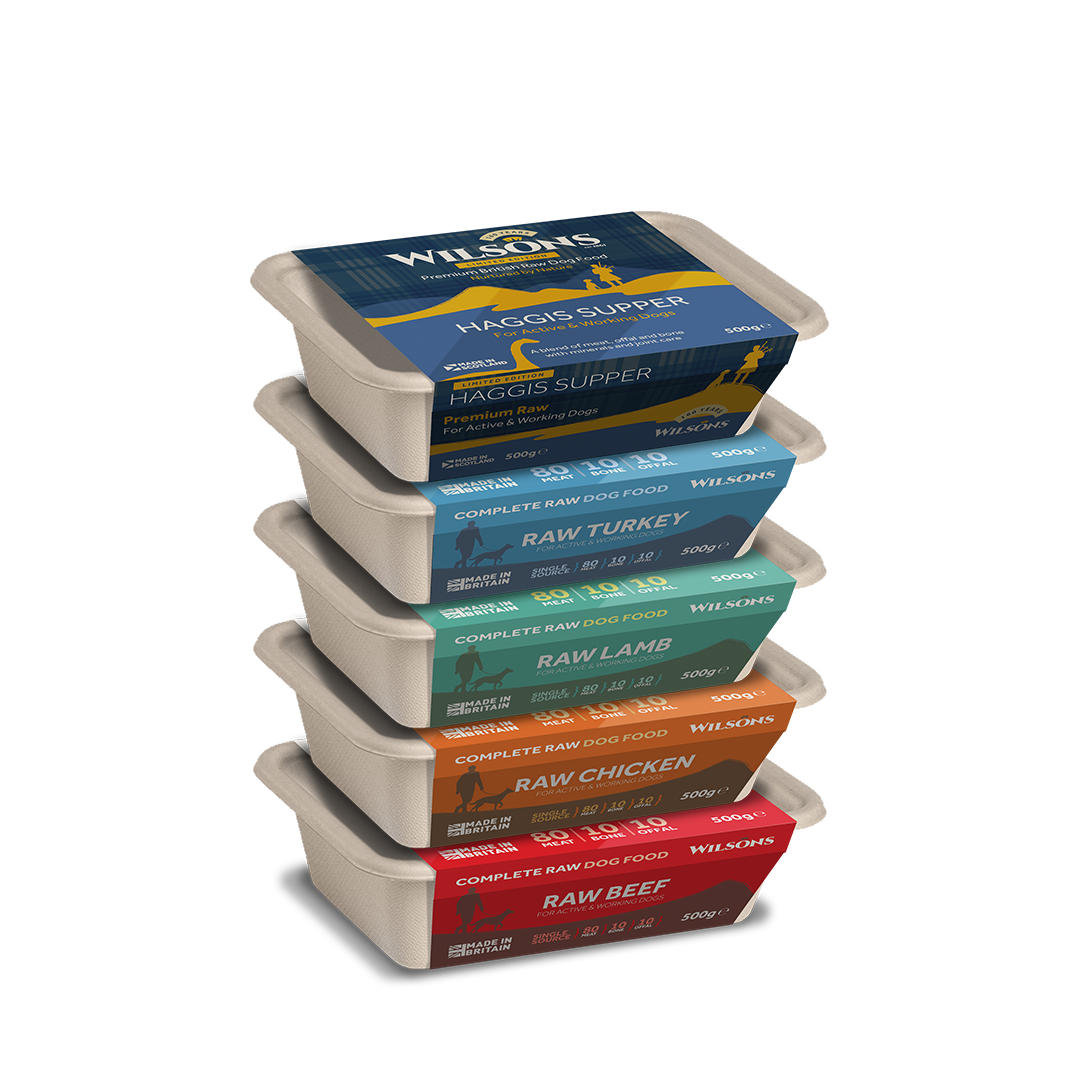 Variety Core Raw Frozen Dog Food with Haggis Supper UK Made Wilsons