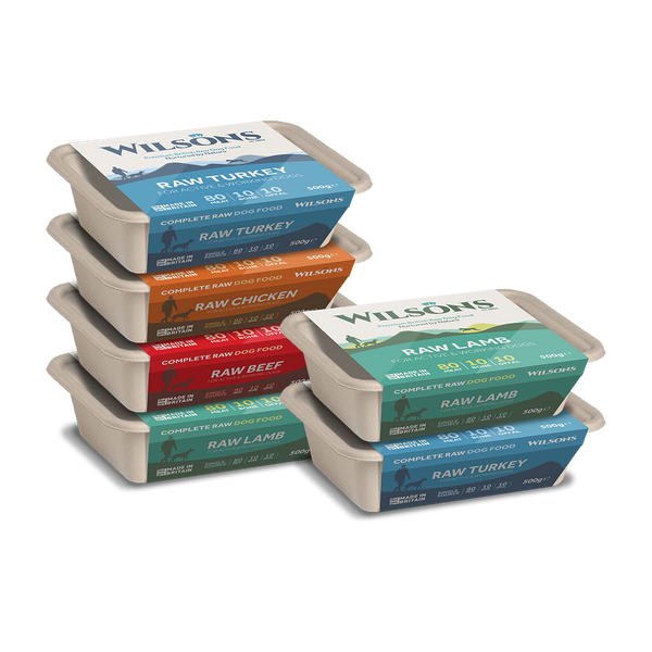 Raw dog online food subscription box