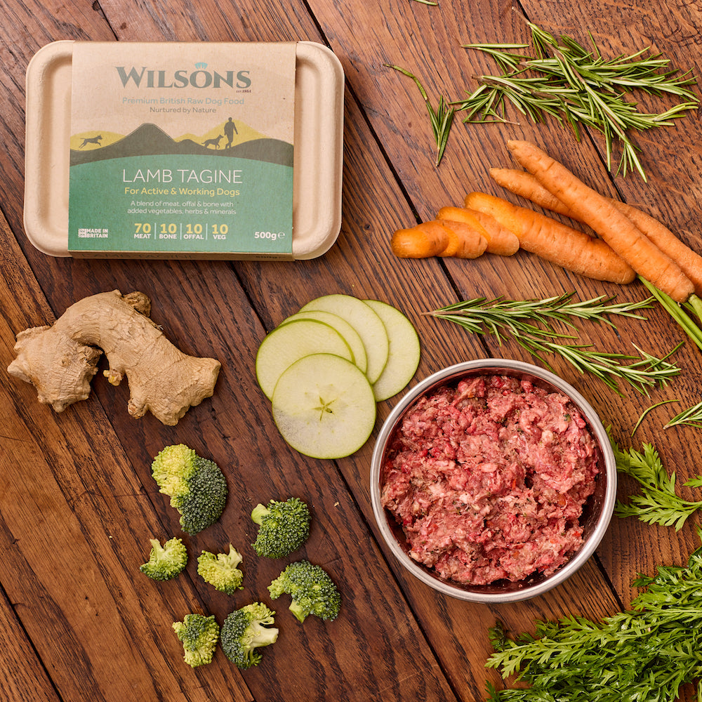 Wilsons Lamb Tagine Raw Premium Complete Dog Food Ready To Serve Wilsons Pet Food